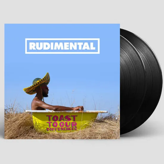 TOAST TO OUR DIFFERENCES [LP]