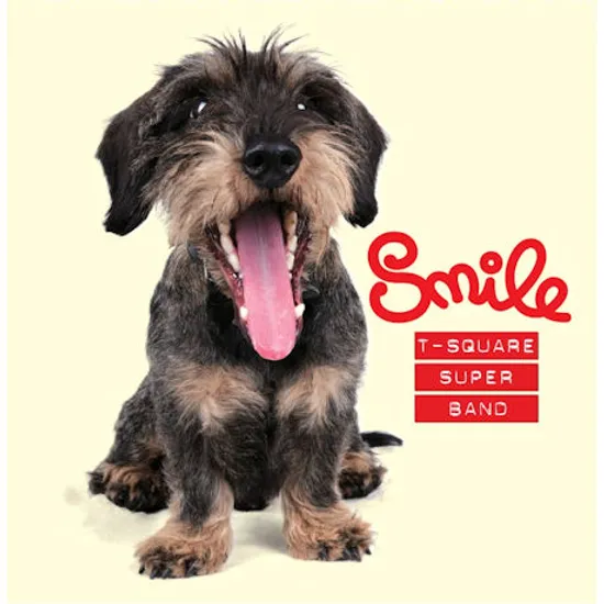 SMILE [35주년 기념 앨범]
