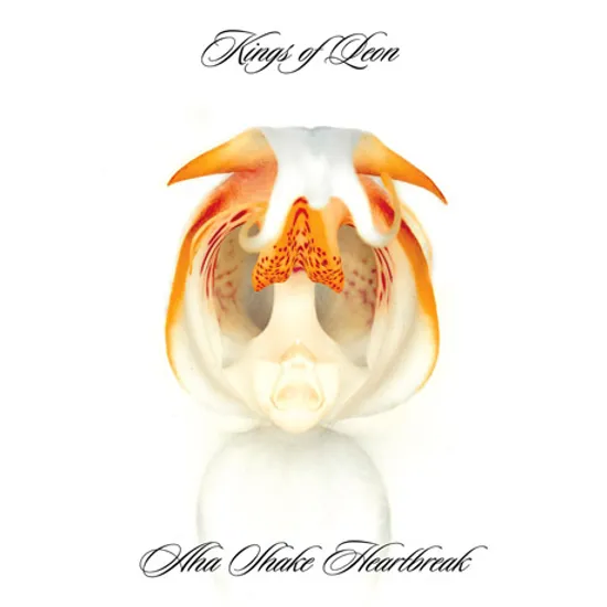 AHA SHAKE HEARTBREAK