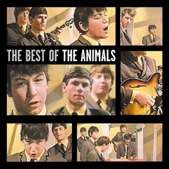 THE BEST OF THE ANIMALS