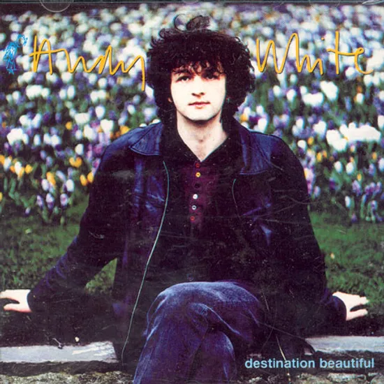 DESTINATION BEAUTIFUL