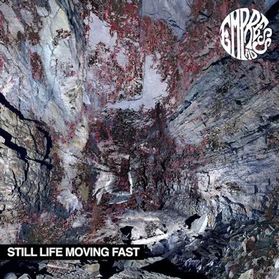 STILL LIFE MOVING FAST [LP]