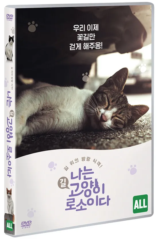 나는 고양이로소이다