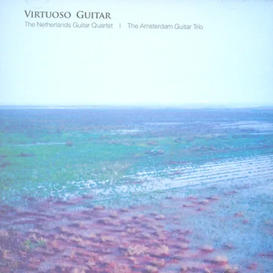 VIRTUOSO GUITAR