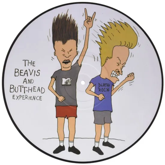 THE BEAVIS AND BUTTHEAD EXPERIENCE [비비스 앤 벗헤드 익스피리언스] [PICTURE DISC LP]