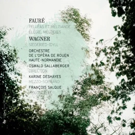 PELLEAS ET MELISANDE/ OSWALD SALLABERGER, KARINE DESHAYES