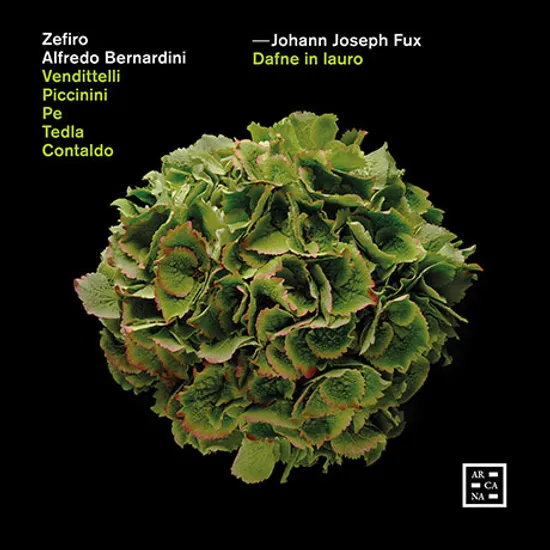 DAFNE IN LAURO/ ALFREDO BERNARDINI [푹스: <월계수로 변한 다프네> 전곡 - 알프레도 베르나르디니]