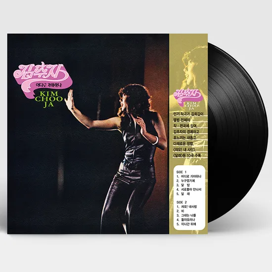 어디로 가야하나 [180G LP]