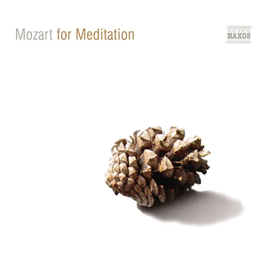 MOZART FOR MEDITATION [명상을 위한 모차르트]