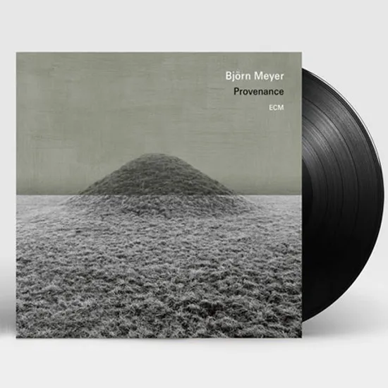 PROVENANCE [180G LP]