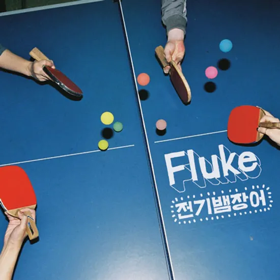 FLUKE