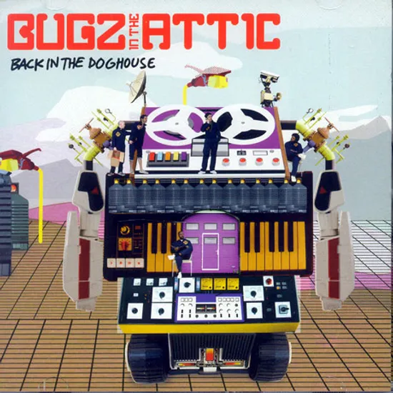 BACK IN THE DOGHOUSE