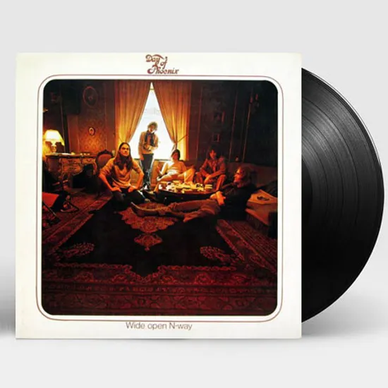 WIDE OPEN N-WAY [LP]