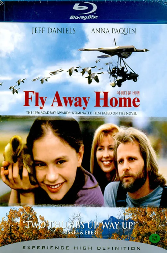 아름다운 비행 [FLY AWAY HOME]