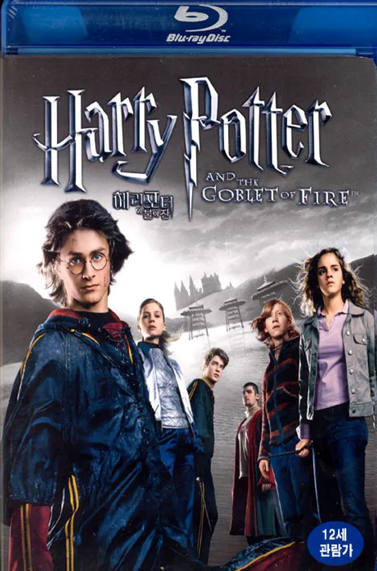해리 포터와 불의 잔 [HARRY POTTER AND THE GOBLET OF FIRE]