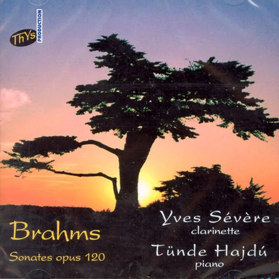 CLARINET SONATA/ YVES SEVERE