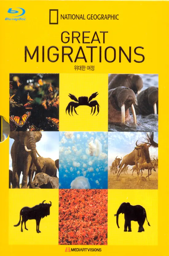 위대한 여정 [GREAT MIGRATION]