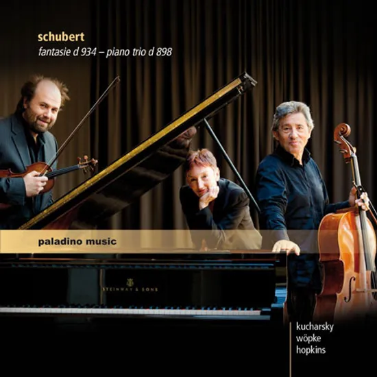 FANTASIE D 934 & PIANO TRIO D 898/ KUCHARSKY, WOPKE, HOPKINS [슈베르트: 환상곡 & 피아노 삼중주]