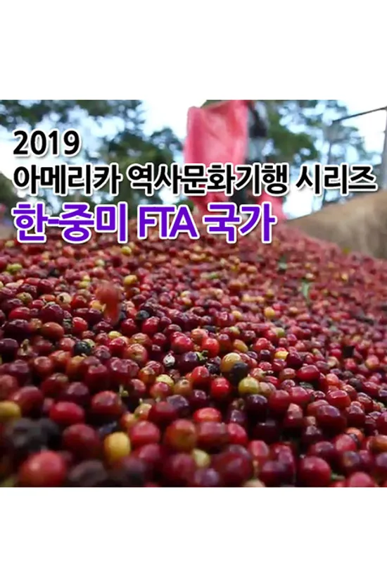 EBS 2019 아메리카 역사문화기행 시리즈: 한-중미 자유무역협정(FTA) 국가 [주문제작상품]