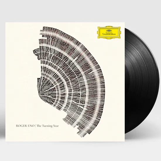 THE TURNING YEAR [LP]