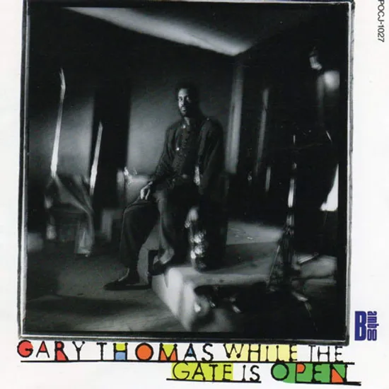 WHILE THE GATE IS OPEN