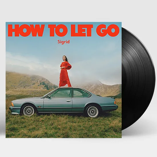 HOW TO LET GO [LP]