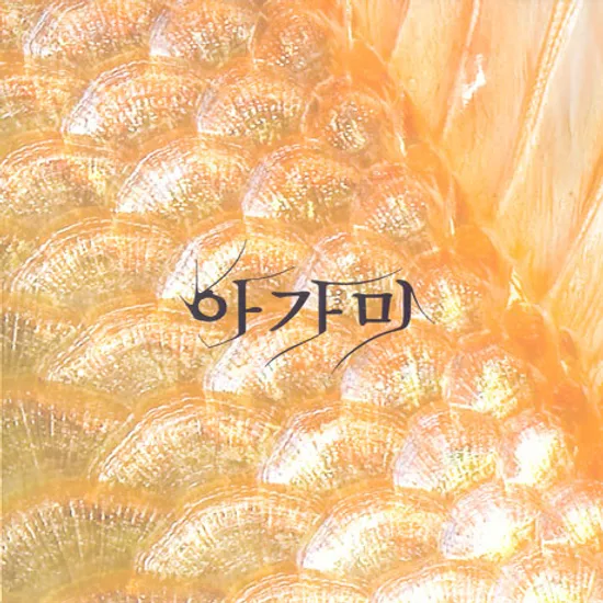 아가미 [민중가요]