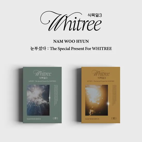 눈부셨다: THE SPECIAL PRESENT FOR WHITREE [식목일 3 LIVE VER] [USB]