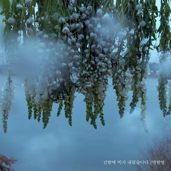 간밤에 비가 내렸습니다