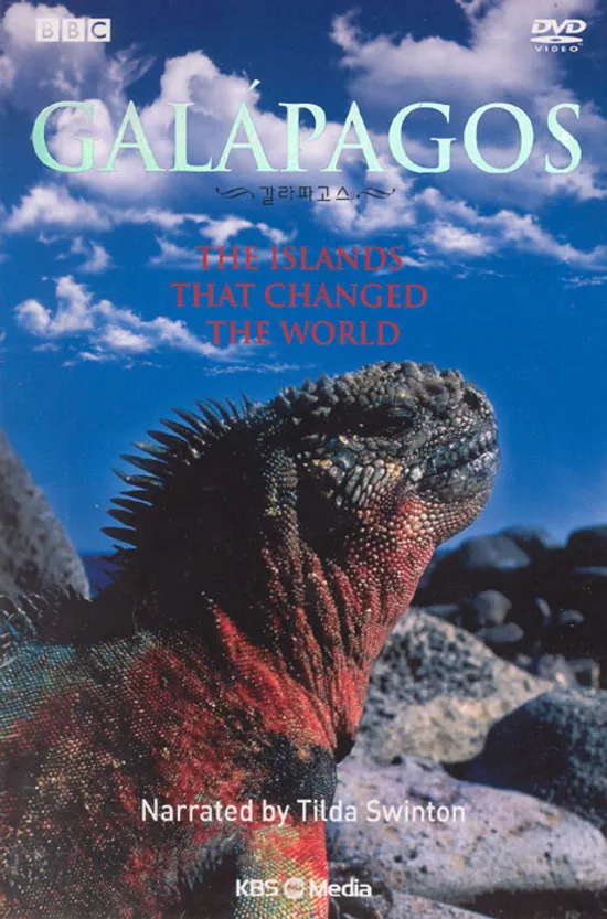 갈라파고스: BBC 다큐멘터리 [12년 6월 이엔이미디어 할인행사]