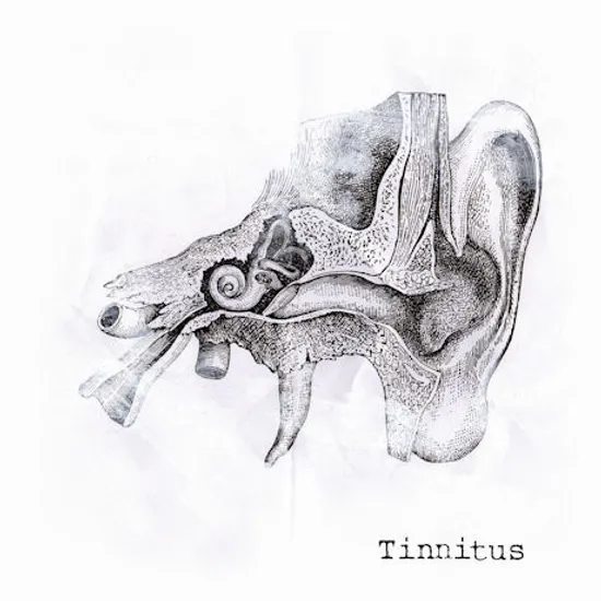 이명(耳鳴 ) [TINNITUS]