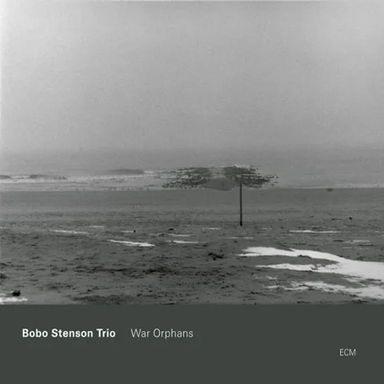 WAR ORPHANS [TOUCHSTONE SERIES]