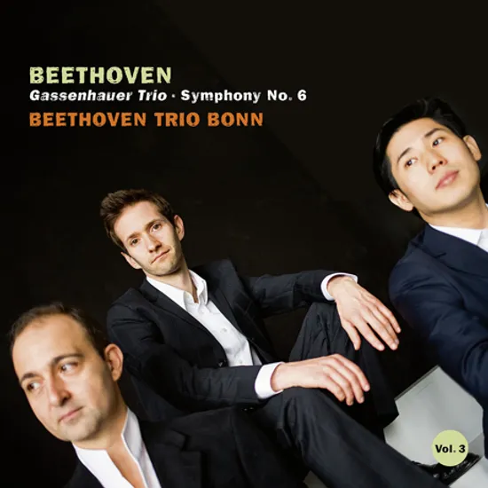 GASSENHAUER TRIO, SYMPHONY NO.6/ BEETHOVEN TRIO BONN [베토벤 트리오 3집: 피아노 삼중주 4번, 교향곡 6번(피아노 삼중주 버전) - 베토벤 트리오 본]