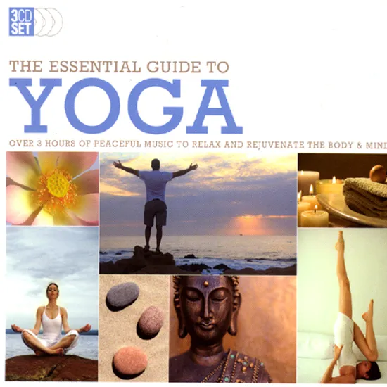 THE ESSENTIAL GUIDE TO YOGA