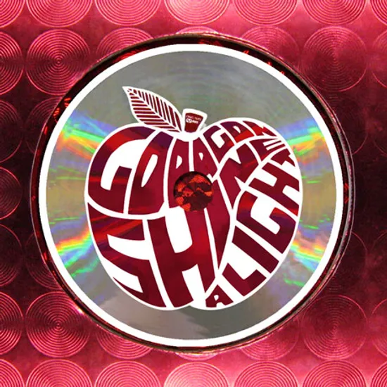 SHINE A LIGHT: FIRST LIVE CONCERT