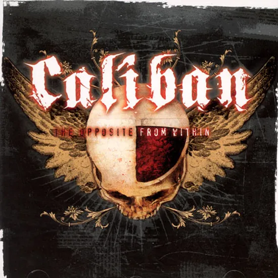 THE OPPOSITE FROM WITHIN