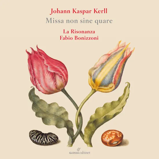 MISSA NON SINE QUARE/ FABIO BONIZZONI [케를: 미사 <논 시네 쿠아레>]