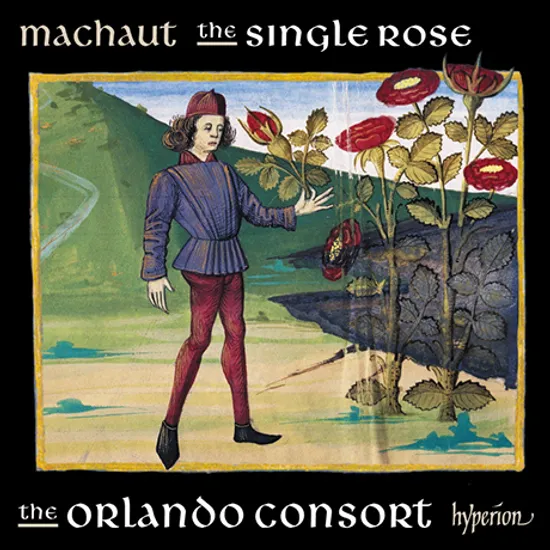 THE SINGLE ROSE/ ORLANDO CONSORT [마쇼: 더 싱글 로즈 - 오를란도 콘소트]