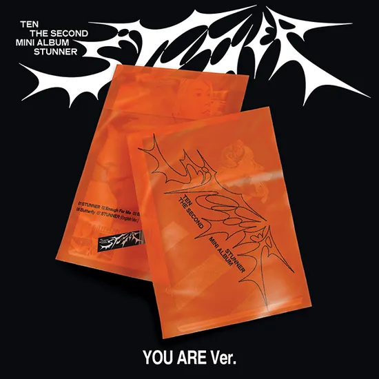 STUNNER [미니 2집] [YOU ARE VER]