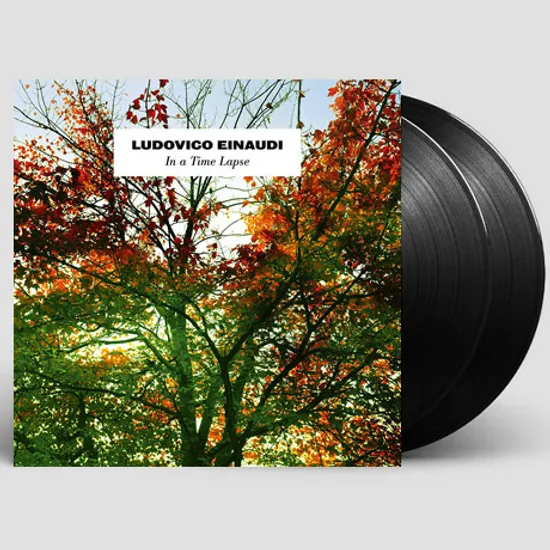 IN A TIME LAPSE [에이나우디: 인 어 타임랩스] [LP]