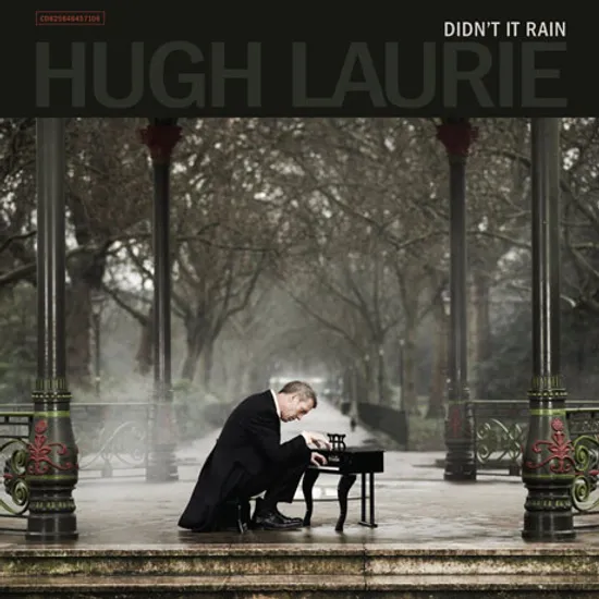 DIDN`T IT RAIN [LP]
