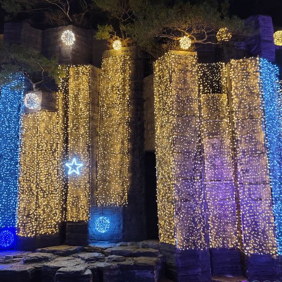 [도토로]은하수 500구 검정선 LED 웜색 지니전구(50M)