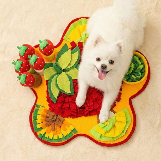 딸기밭 플라워 강아지 노즈워크 장난감 LDG-NW02S