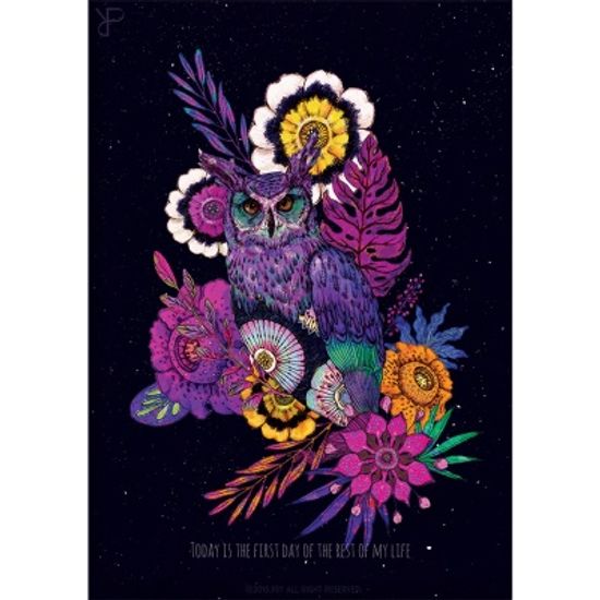 Owl of the night 1 / 일러스트 액자