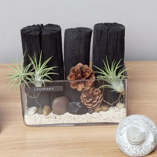 천연 가습기 직사각 글라스에 담긴 틸란과 숯