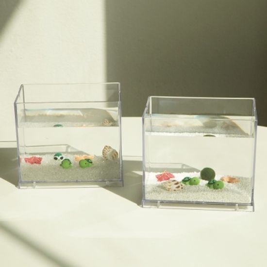 심플 바다 국산 마리모 키우기 DIY 세트(마리모:소)