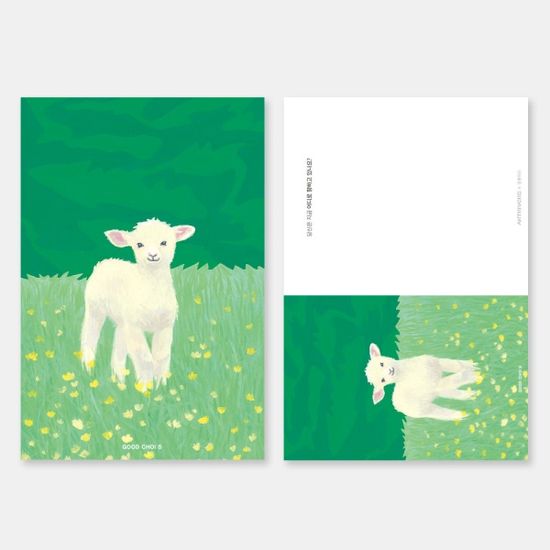 굿초이스 '일상과 사랑의 수집' 스페셜엽서팩 (6장팩)