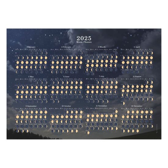 2025 달관찰 포스터 (가로형)