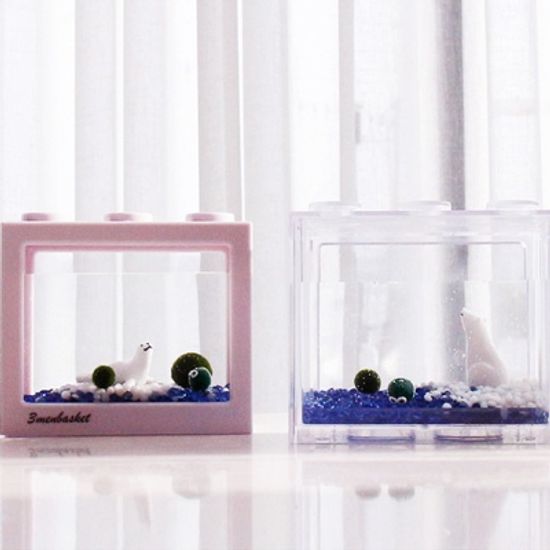 북극의 꿈 마리모DIY 세트(마리모:소)