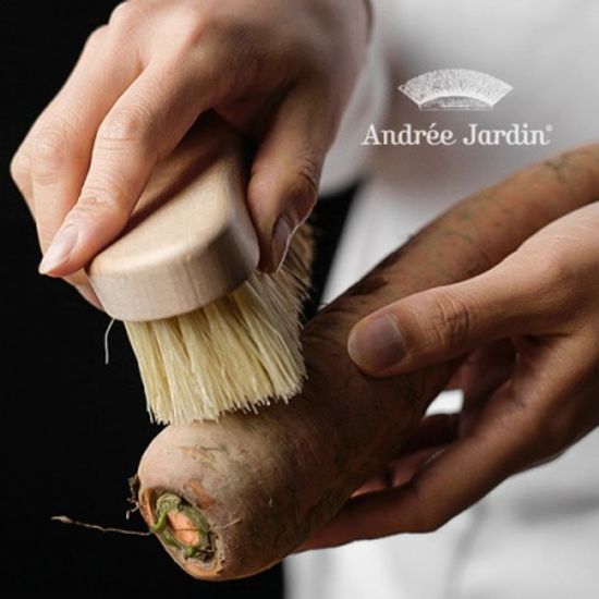 프랑스 앙드레자르뎅 야채브러쉬